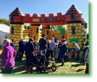Bouncy Castle 1 Frame-16-10-2017-12-00-18.jpg